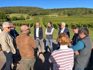 Le robot viticole observe les vendanges