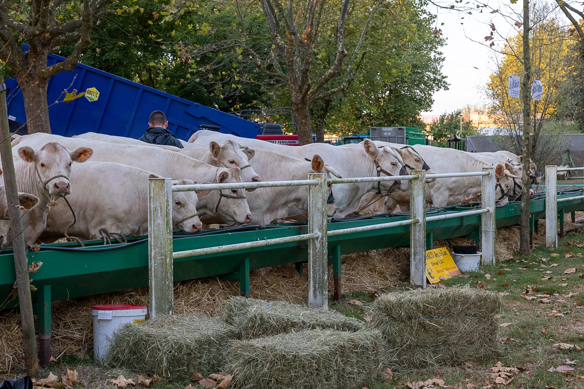 L’agriculture locale en fête à la foire de Digoin les 7 et 8 septembre
