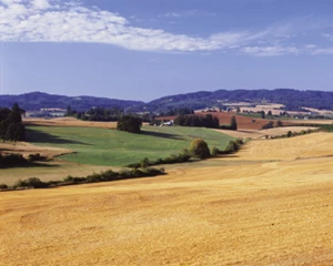 Dix années d’agroécologie