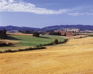 Dix années d’agroécologie