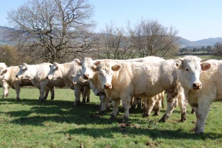 15 bonnes raisons de ne pas manquer la porte ouverte de Ferm’Inov