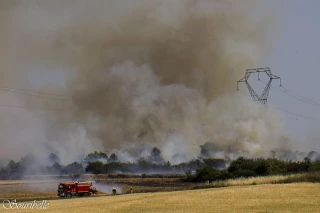 Un enjeu vital face au changement climatique