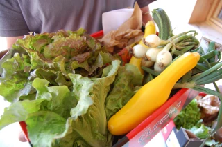 La consommation continue de baisser